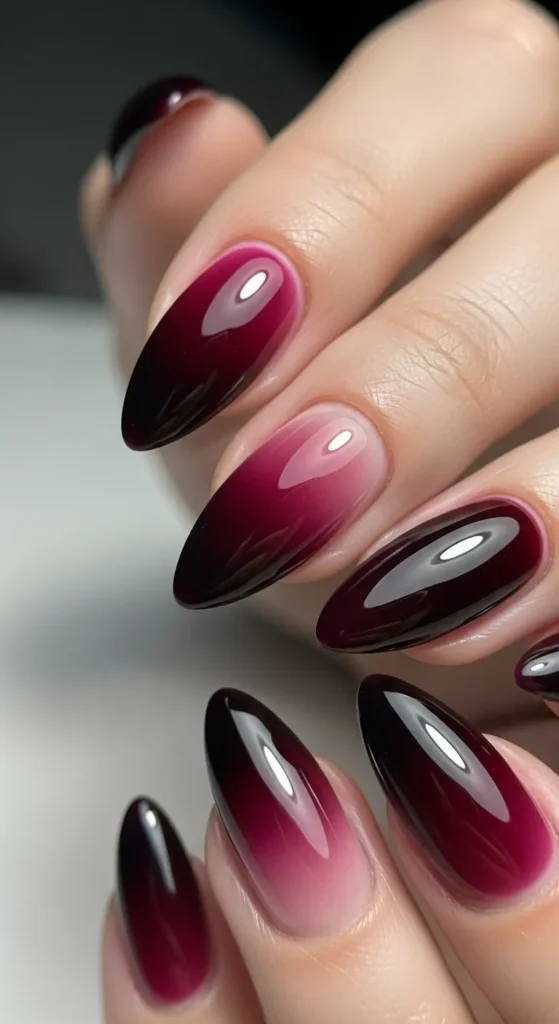 Maroon Ombré Shadows